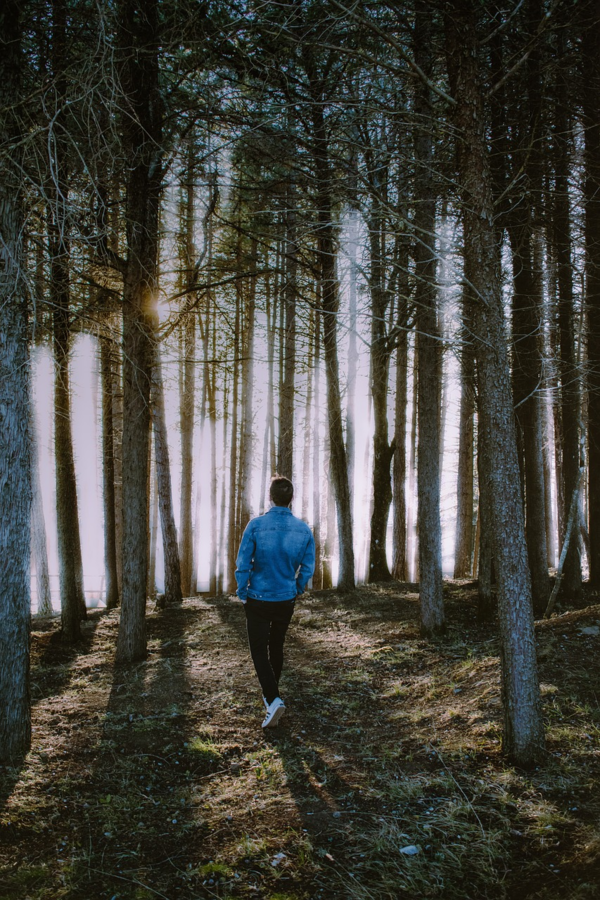 일요일 탐구기 _칼럼 이승희 기자